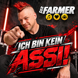 Ich bin kein Assi! (Ich bin Direkt Version)